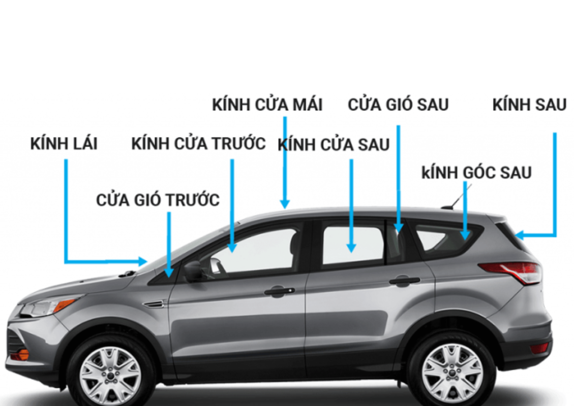 Phim cách nhiệt Ferrari: lựa chọn nào tốt nhất cho siêu xe? 2 Vị trí dán phim cách nhiệt trên Ferrari